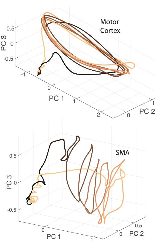 Neural population trajectories during cycling Neural population trajectories during cycling