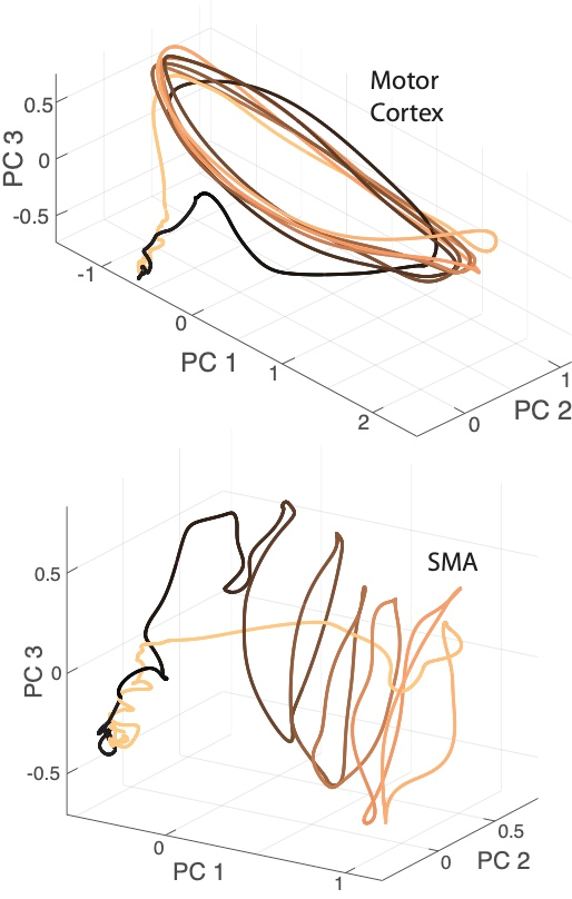 Neural population trajectories during cycling