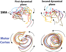 Projection of reach-related population activity onto 2 planes best captured linear dynamics Projection of reach-related population activity onto 2 planes best captured linear dynamics