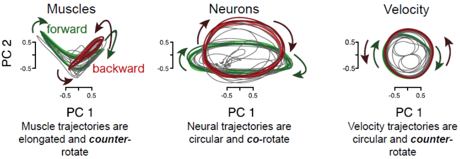 State-space comparison of signals State-space comparison of signals
