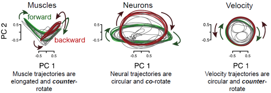 State-space comparison of signals