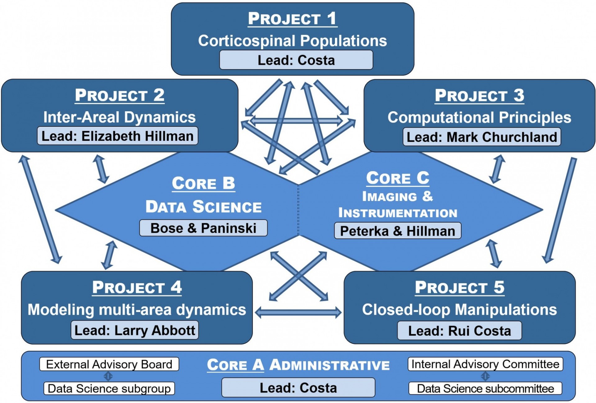 U19 Organizational Chart