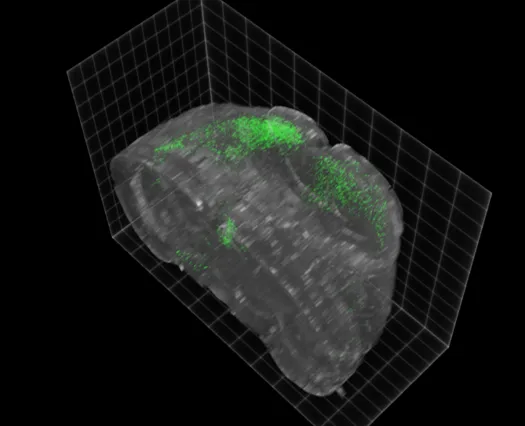 Imaging Pipeline 3D reconstruction