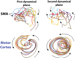 Projection of reach-related population activity onto 2 planes best captured linear dynamics