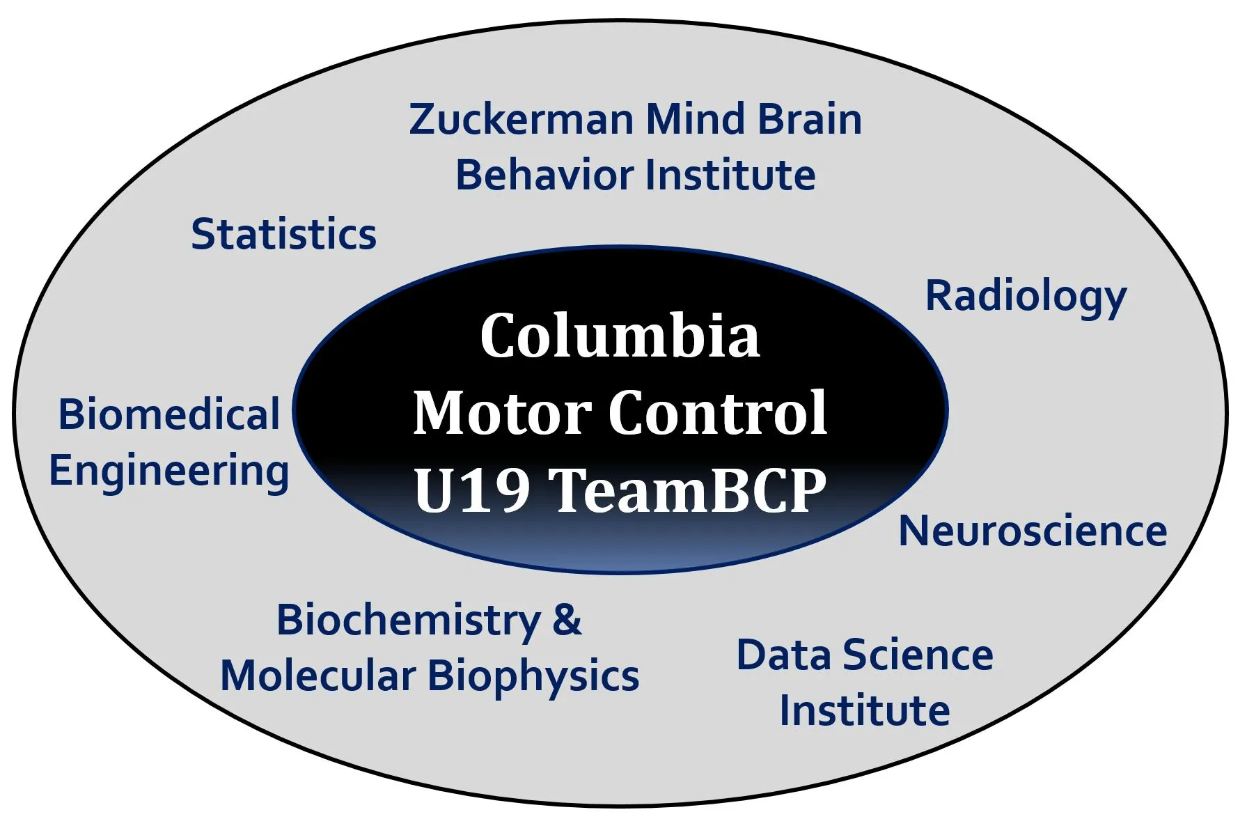 BRAIN U19 Departments Bubble